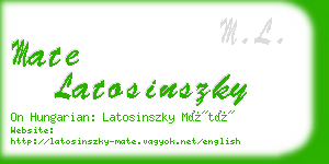 mate latosinszky business card